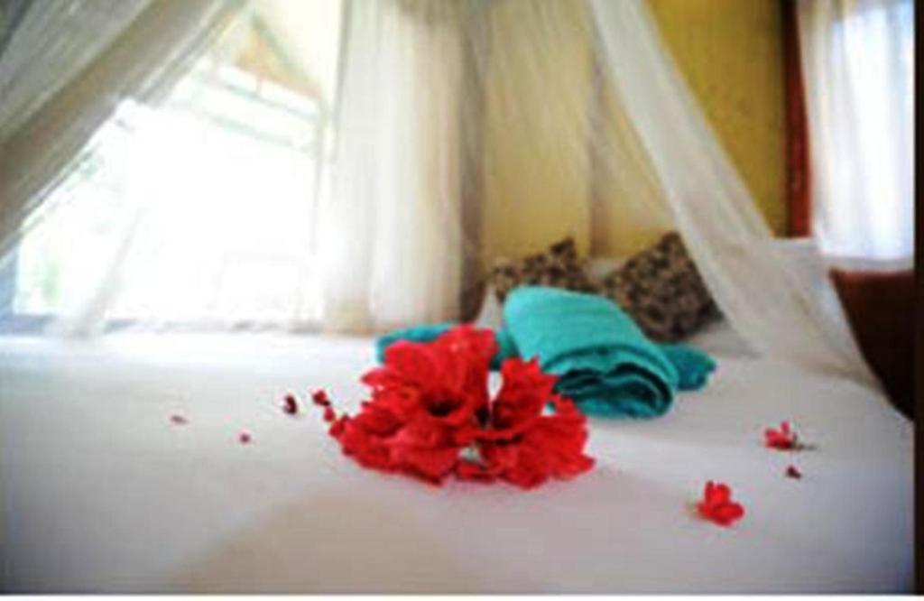Smile Bungalow Bottle Beach Quarto foto